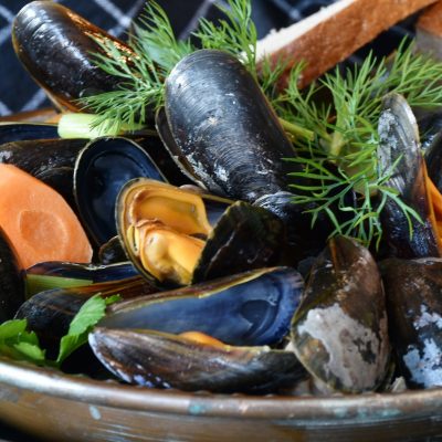 mussels-3148452_1920