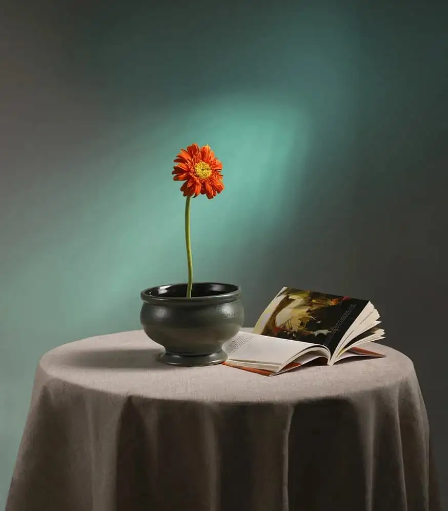 Vase of Flowers and a book